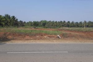 Turuvekere land for Rent or Lease