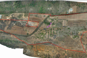 Dabaspet 100 Acre land Green zone