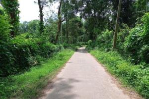  5.5-acre coffee estate in Coorg