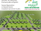 Develop your own plots